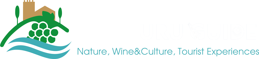 theguruguide.com.pt